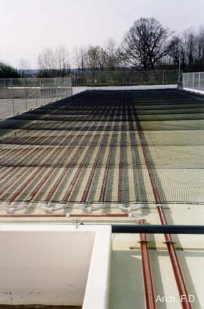 Photo des tubes plexiglas (PMMA) servant de photo-réacteur pour la production des micros-algues.